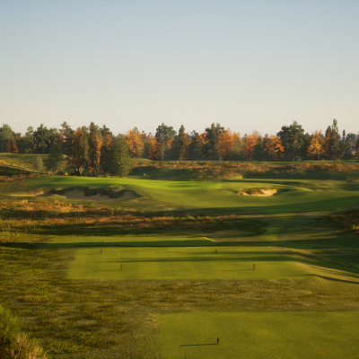 New Course Renderings