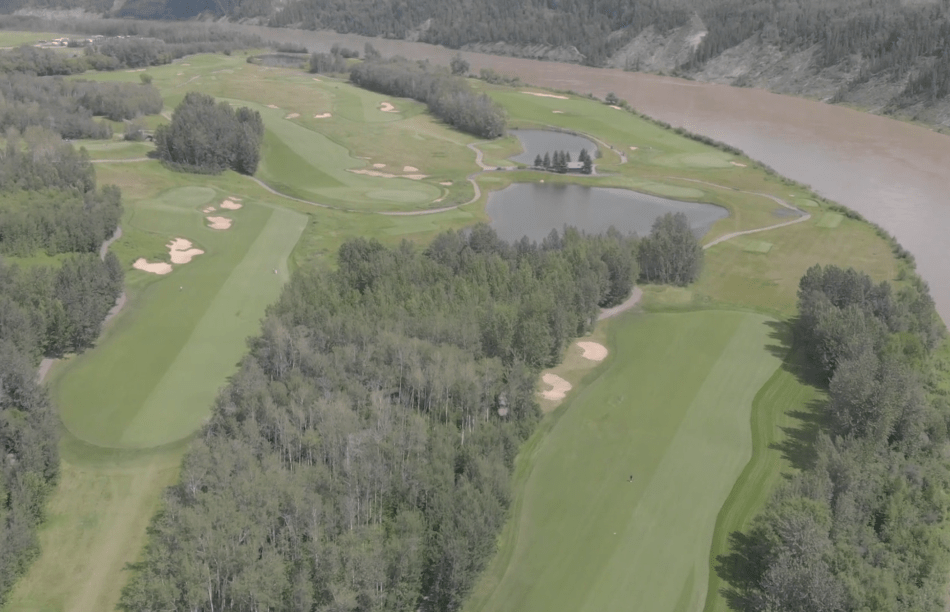 The {Sanctuary} Est. 2019